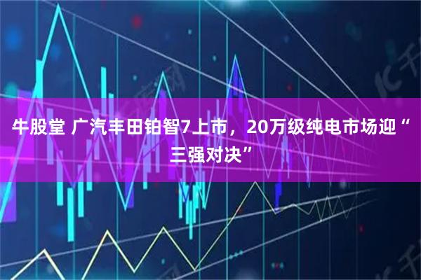 牛股堂 广汽丰田铂智7上市，20万级纯电市场迎“三强对决”