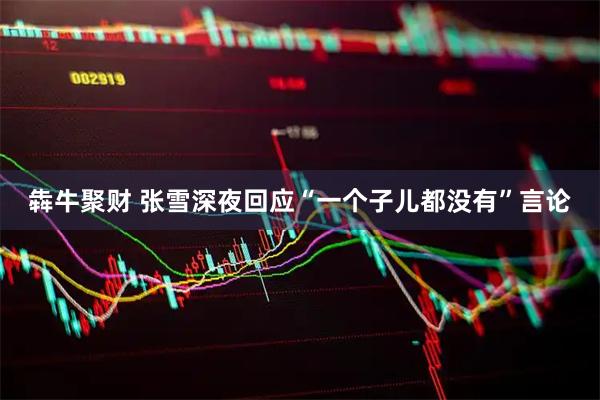 犇牛聚财 张雪深夜回应“一个子儿都没有”言论